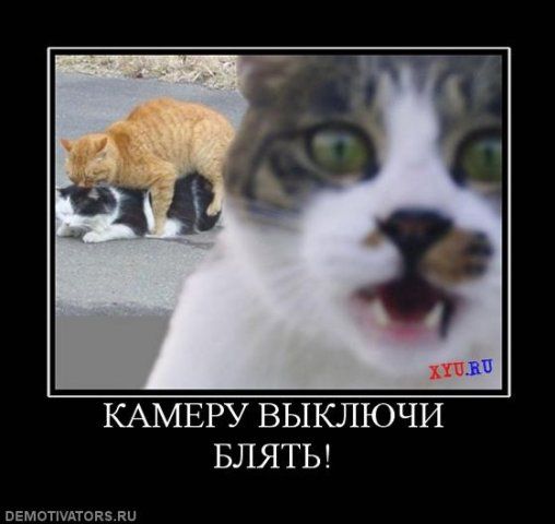 �� �������