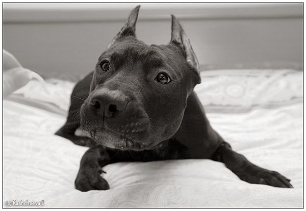 [�� �������]