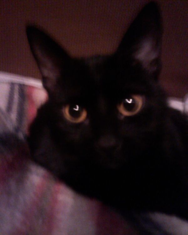 �� ��������