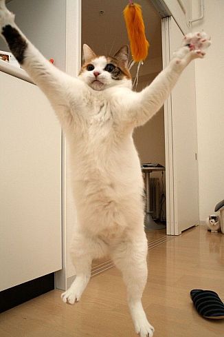 [�� �������]