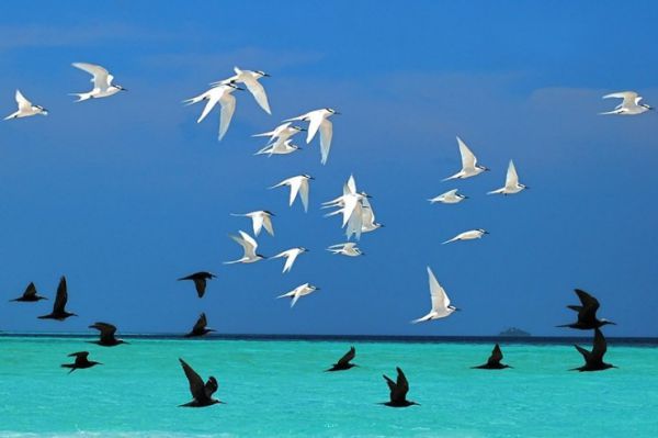 [�� �������]