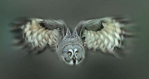 �������� ��������15