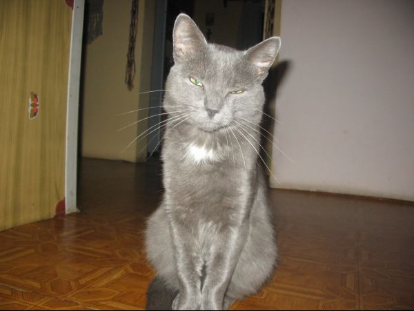 ��� ��� ����� ;)