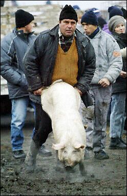 [�� �������]